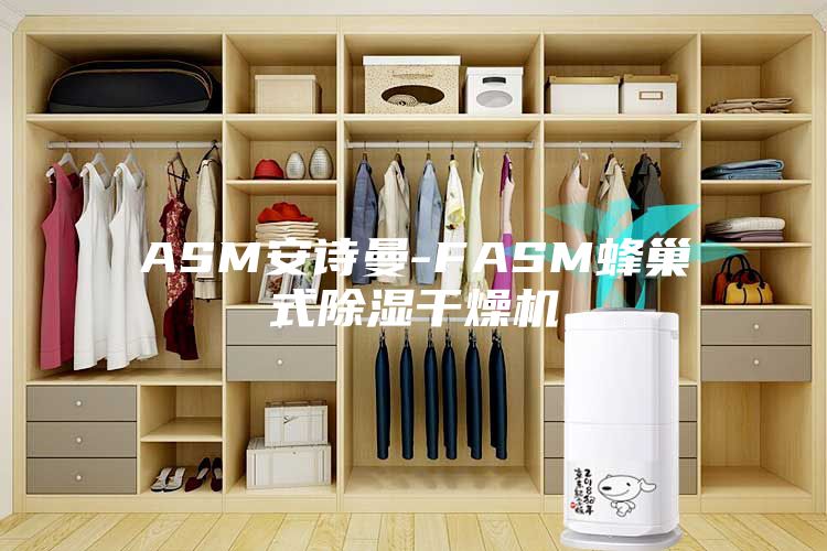 ASM安诗曼-FASM蜂巢式除湿干燥机