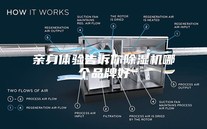 亲身体验告诉你除湿机哪个品牌好