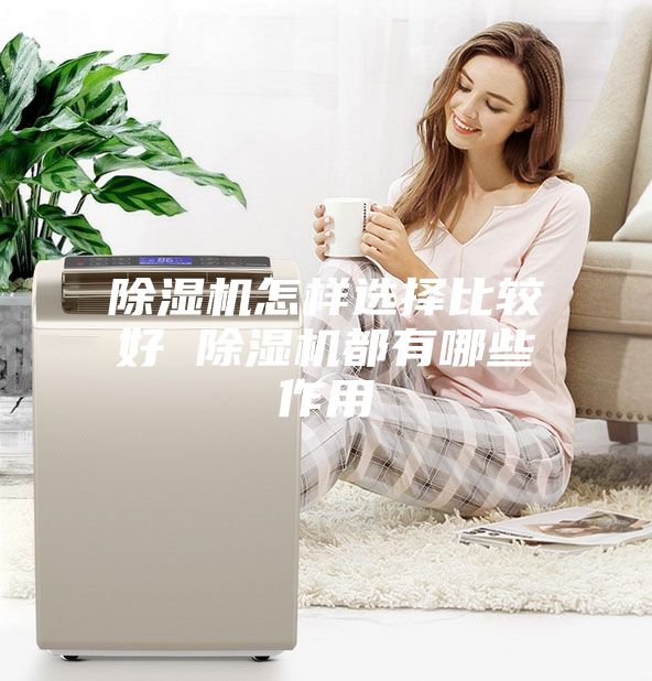 除湿机怎样选择比较好 除湿机都有哪些作用