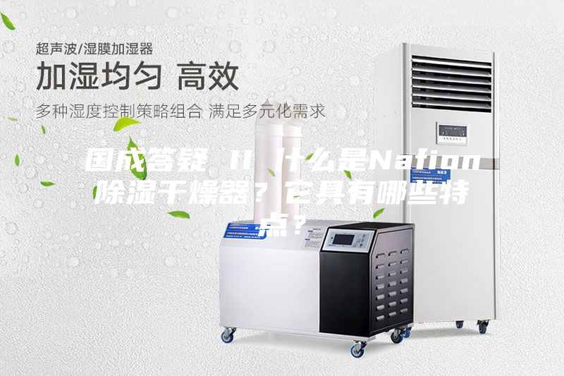 国成答疑 II 什么是Nafion除湿干燥器？它具有哪些特点？
