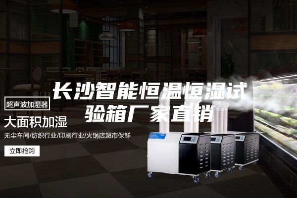 长沙智能恒温恒湿试验箱厂家直销