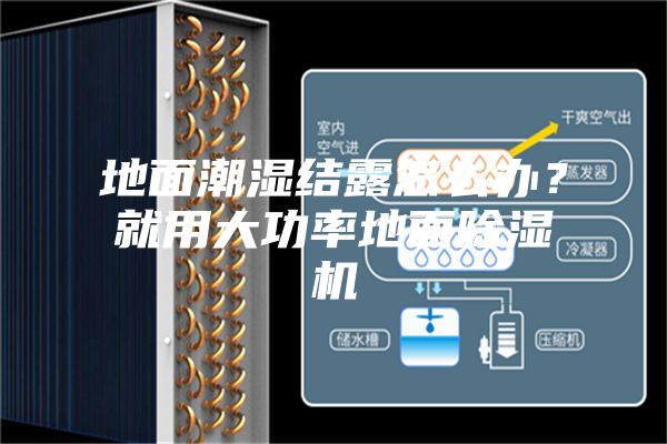 地面潮湿结露怎么办？就用大功率地面除湿机