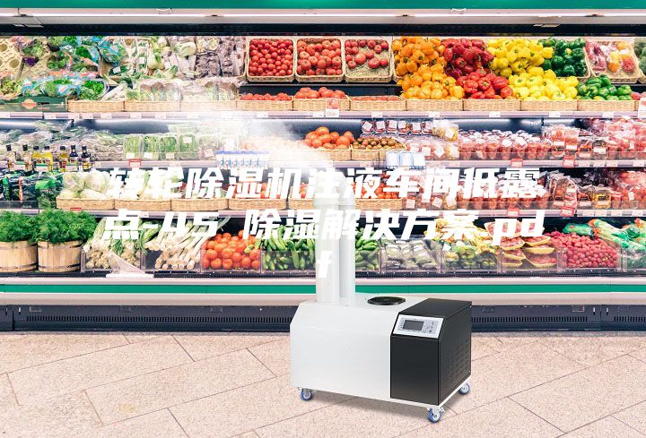 转轮除湿机注液车间低露点-45℃除湿解决方案.pdf