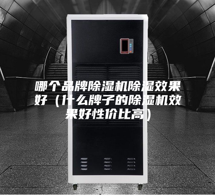哪个品牌除湿机除湿效果好（什么牌子的除湿机效果好性价比高）