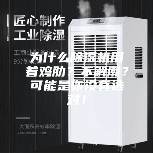 为什么除湿机用着鸡肋？不解潮？可能是你没有选对！