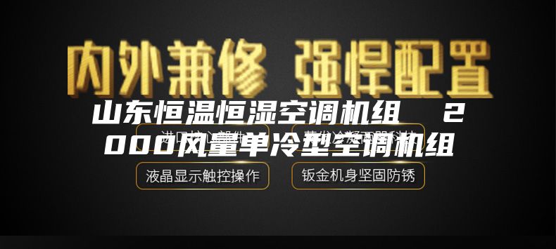 山东恒温恒湿空调机组  2000风量单冷型空调机组