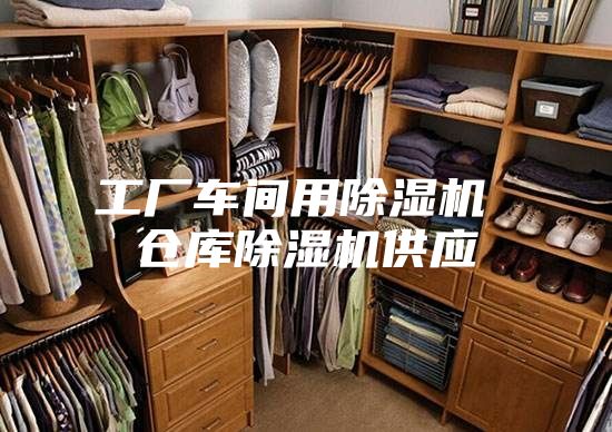 工厂车间用除湿机 仓库除湿机供应