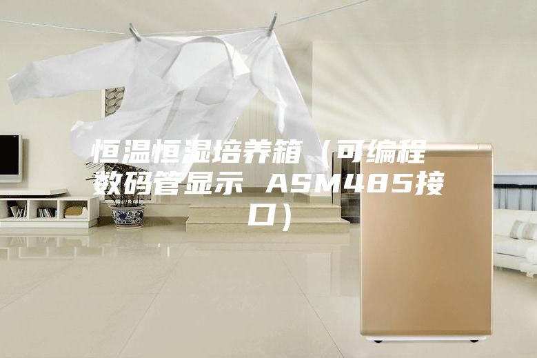 恒温恒湿培养箱（可编程 数码管显示 ASM485接口）