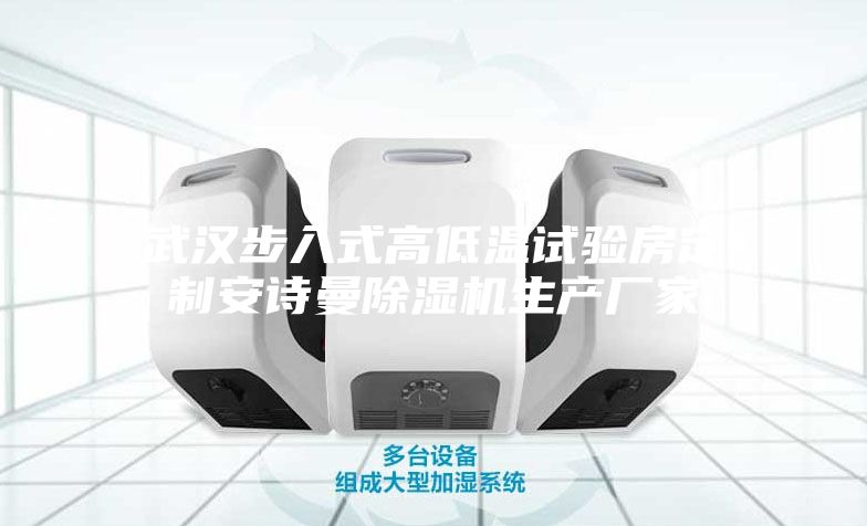 武汉步入式高低温试验房定制安诗曼除湿机生产厂家