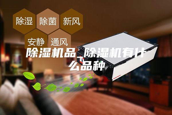 除湿机品_除湿机有什么品种