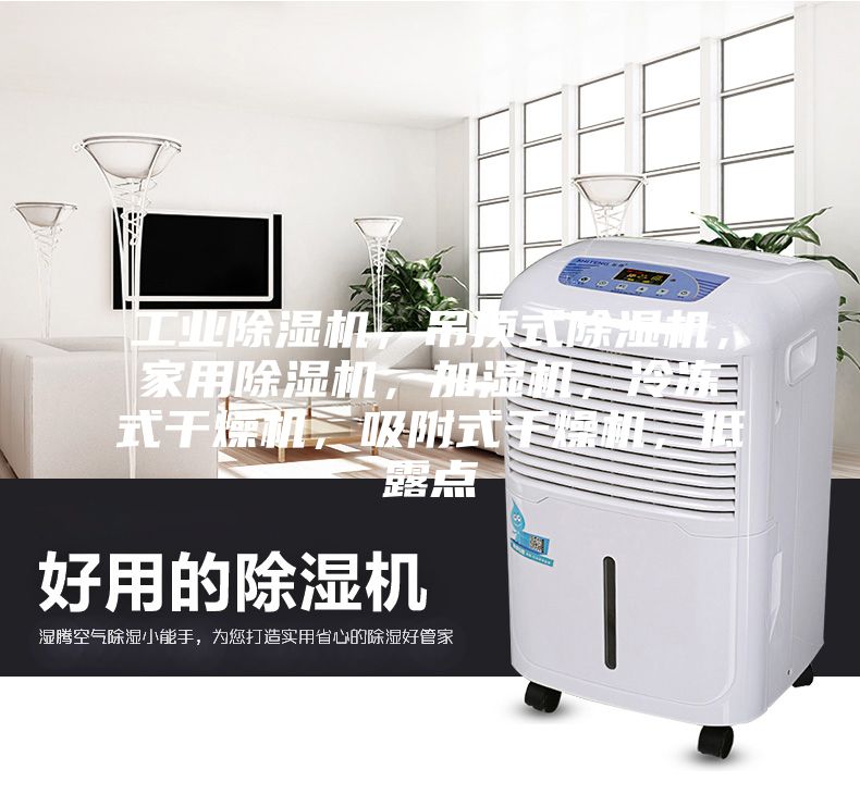 工业除湿机，吊顶式除湿机，家用除湿机，加湿机，冷冻式干燥机，吸附式干燥机，低露点