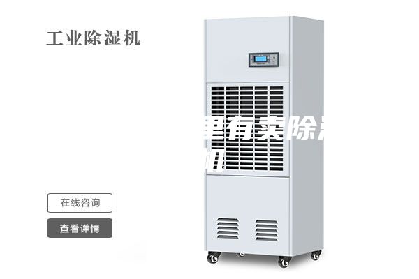 东莞市哪里有卖除湿机