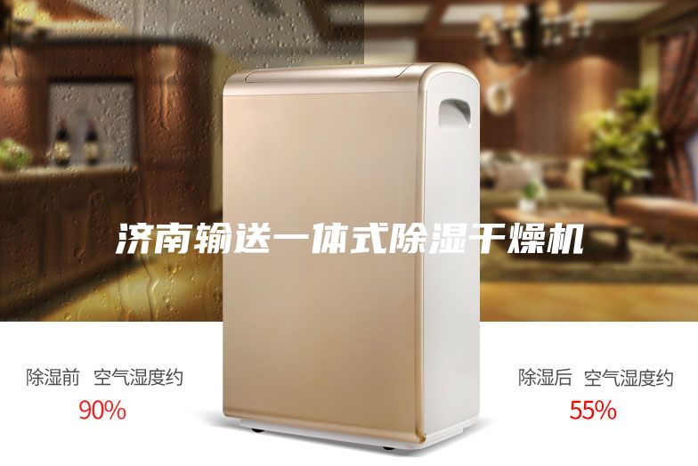 济南输送一体式除湿干燥机