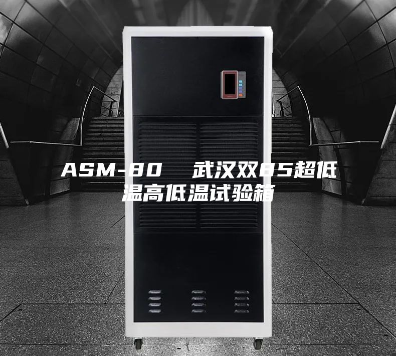 ASM-80  武汉双85超低温高低温试验箱