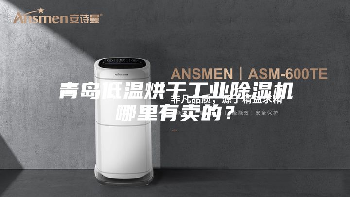 青岛低温烘干工业除湿机哪里有卖的？