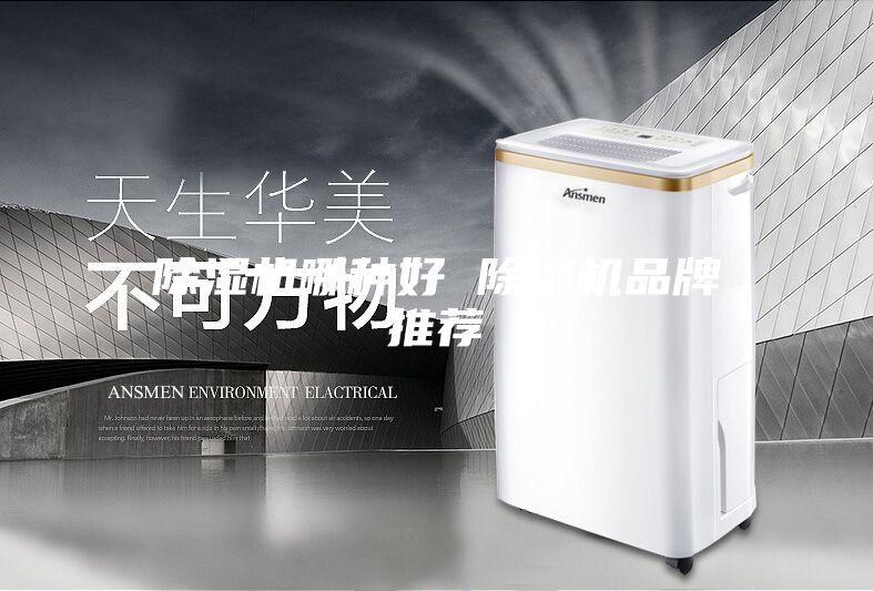 除湿机哪种好 除湿机品牌推荐