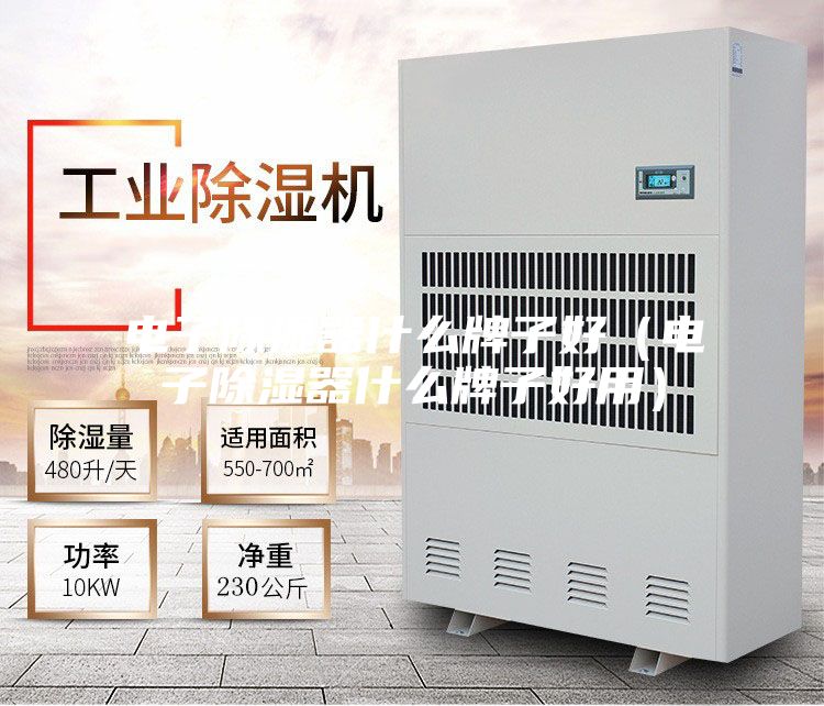 电子除湿器什么牌子好（电子除湿器什么牌子好用）