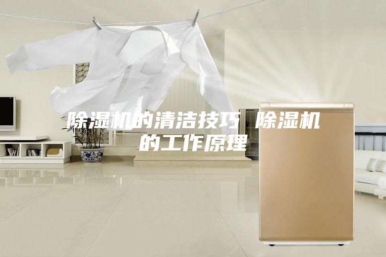 除湿机的清洁技巧 除湿机的工作原理