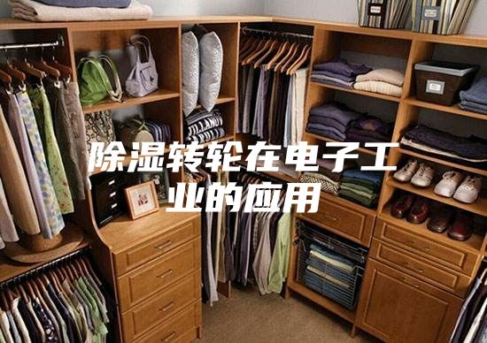 除湿转轮在电子工业的应用