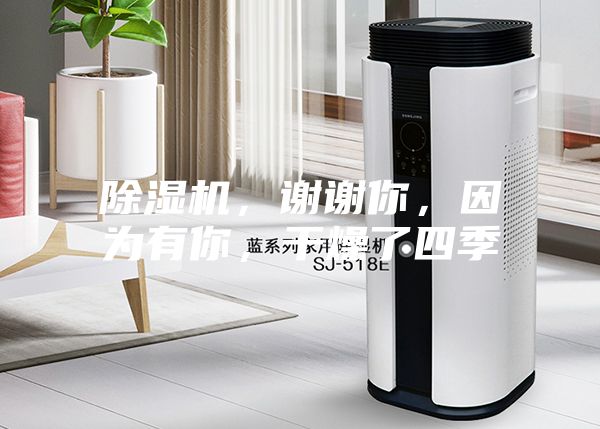 除湿机，谢谢你，因为有你，干燥了四季