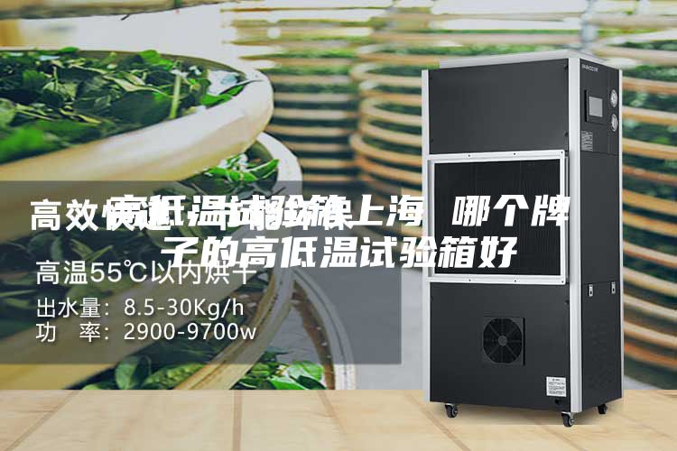 高低温试验箱上海 哪个牌子的高低温试验箱好