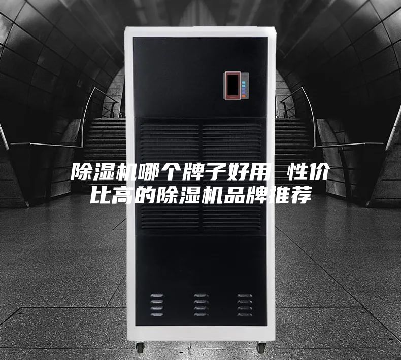 除湿机哪个牌子好用 性价比高的除湿机品牌推荐