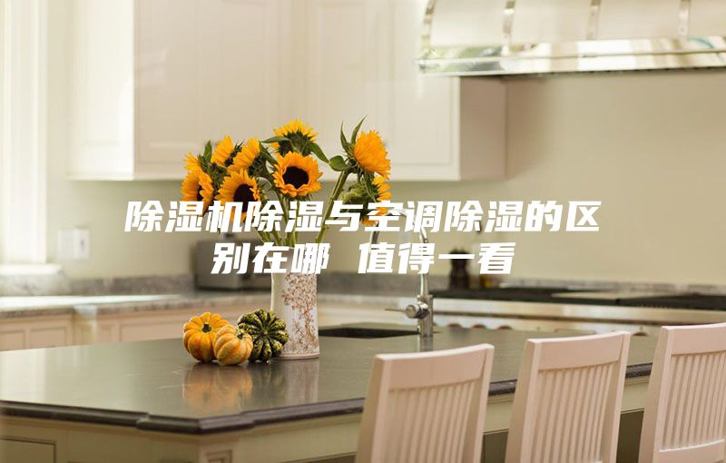 除湿机除湿与空调除湿的区别在哪 值得一看