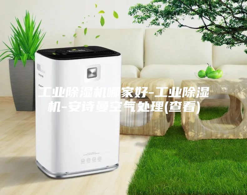 工业除湿机哪家好-工业除湿机-安诗曼空气处理(查看)