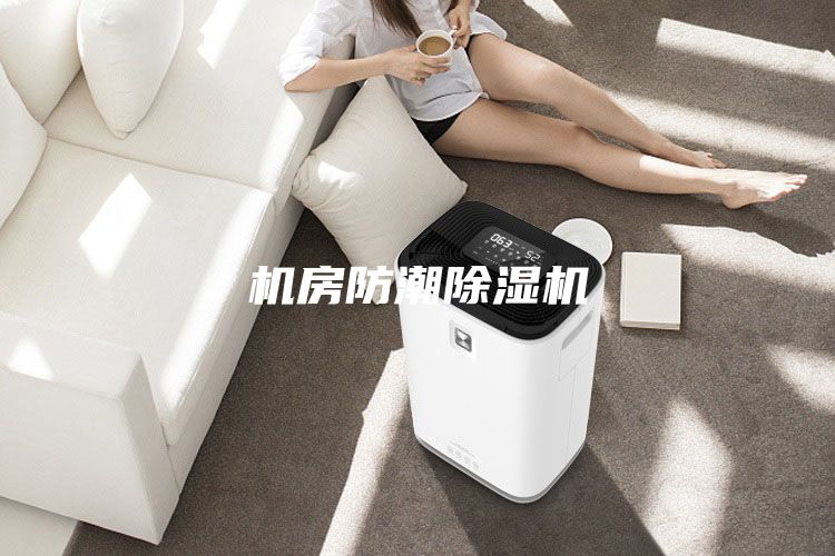 机房防潮除湿机