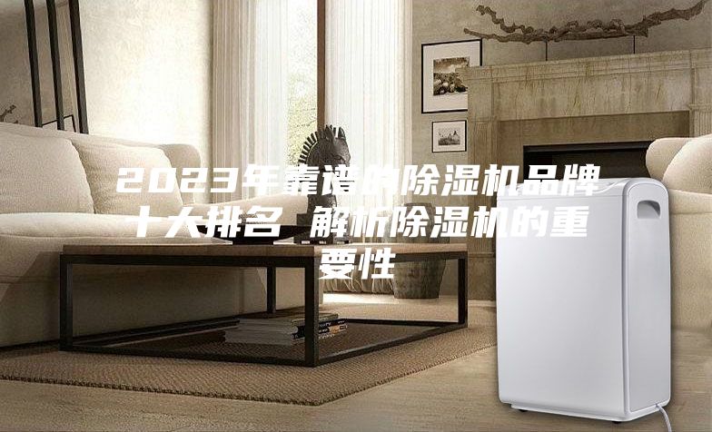 2023年靠谱的除湿机品牌十大排名 解析除湿机的重要性