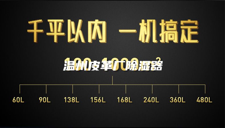 温州皮革厂除湿器