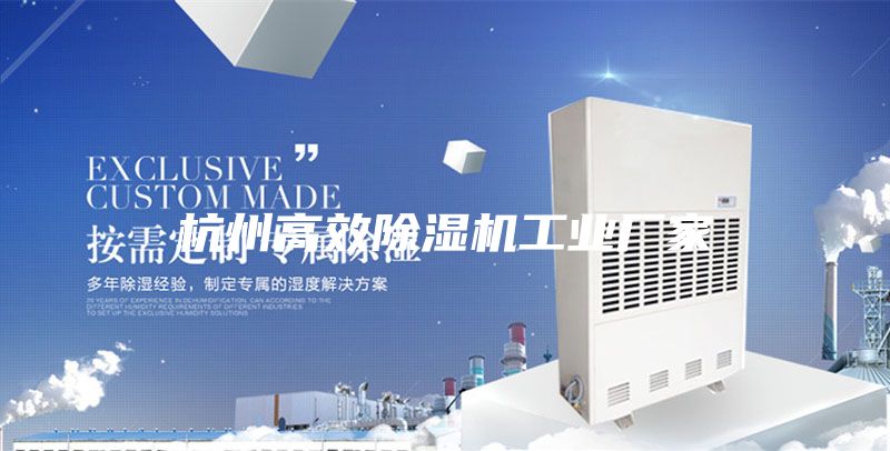 杭州高效除湿机工业厂家