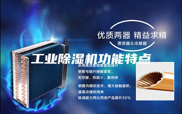 工业除湿机功能特点
