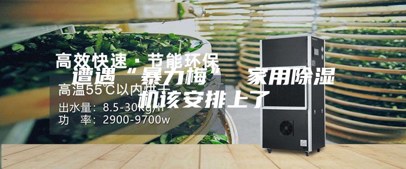 遭遇“暴力梅” 家用除湿机该安排上了