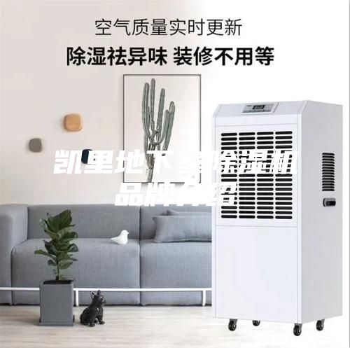 凯里地下室除湿机品牌介绍