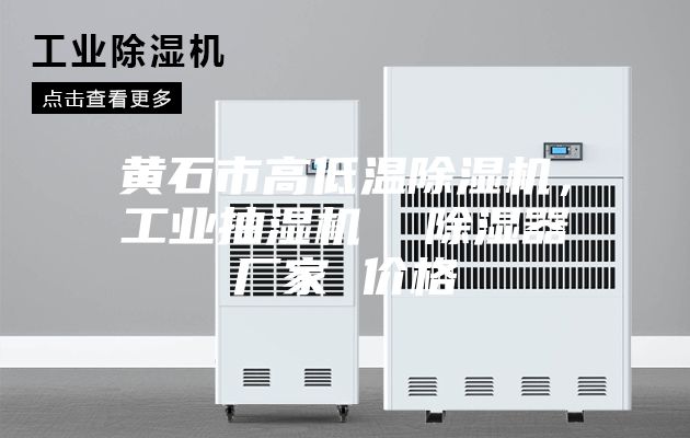 黄石市高低温除湿机，工业抽湿机  除湿器厂家 价格