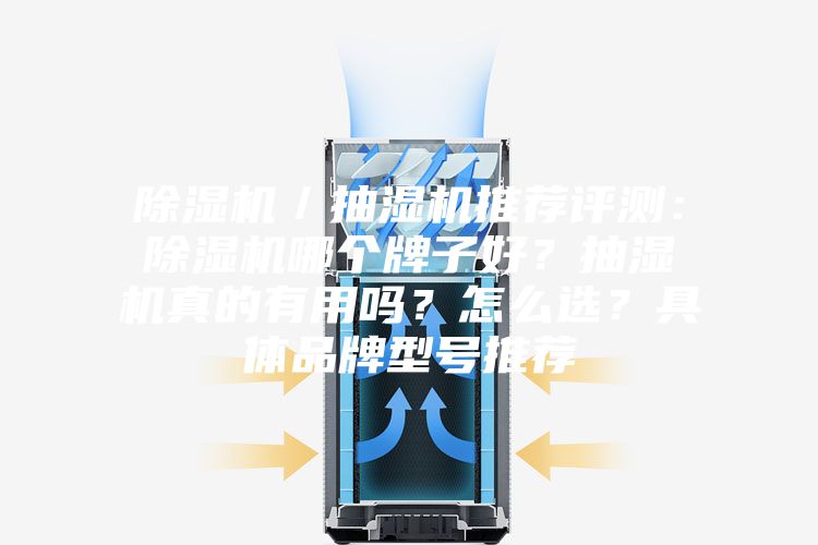 除湿机／抽湿机推荐评测：除湿机哪个牌子好？抽湿机真的有用吗？怎么选？具体品牌型号推荐