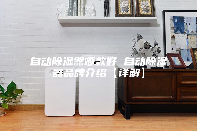 自动除湿器哪款好 自动除湿器品牌介绍【详解】