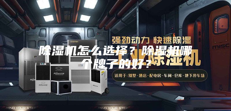 除湿机怎么选择？除湿机哪个牌子的好？