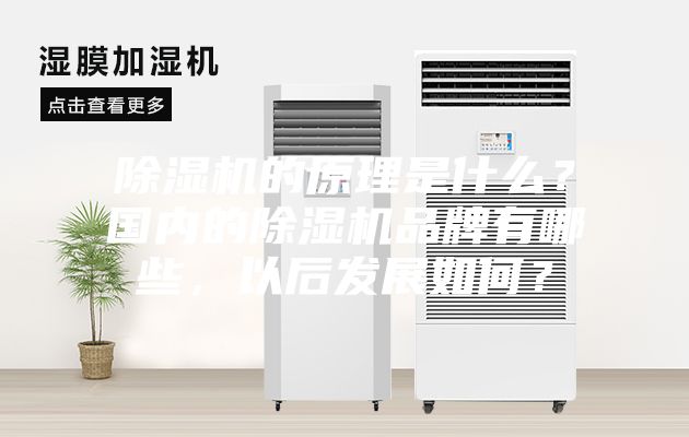 除湿机的原理是什么？国内的除湿机品牌有哪些，以后发展如何？
