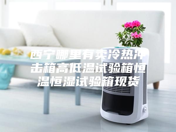 西宁哪里有卖冷热冲击箱高低温试验箱恒温恒湿试验箱现货