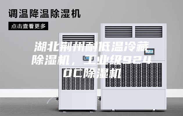 湖北荆州耐低温冷藏除湿机，工业级9240C除湿机