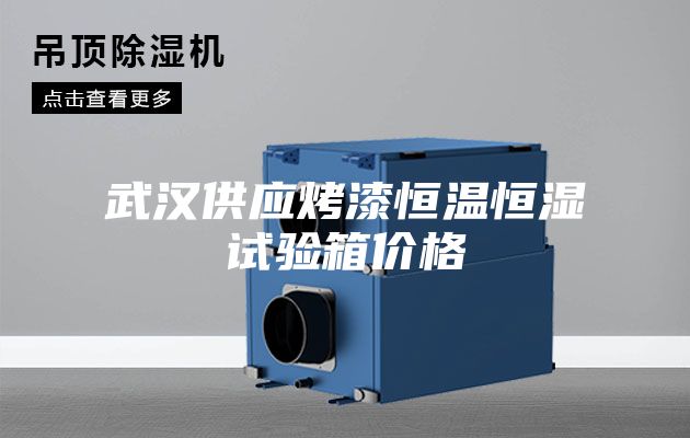 武汉供应烤漆恒温恒湿试验箱价格