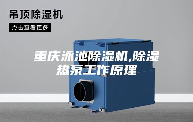 重庆泳池除湿机,除湿热泵工作原理