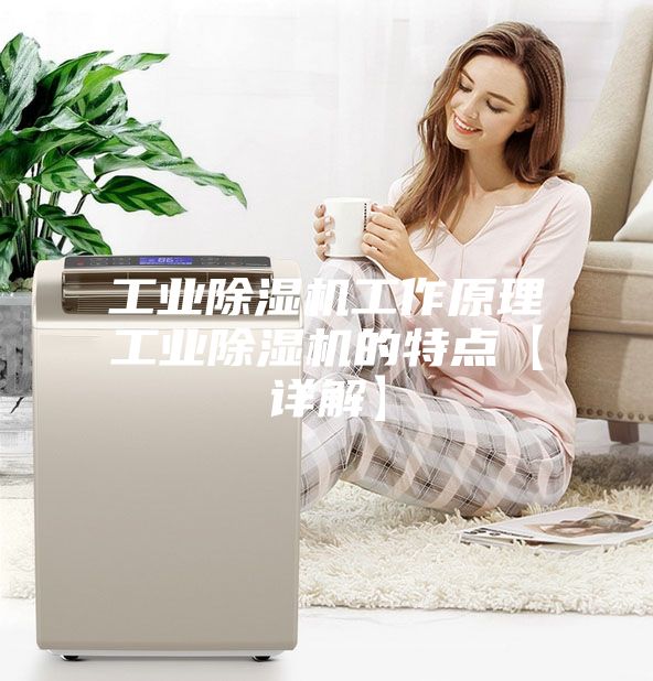 工业除湿机工作原理工业除湿机的特点【详解】