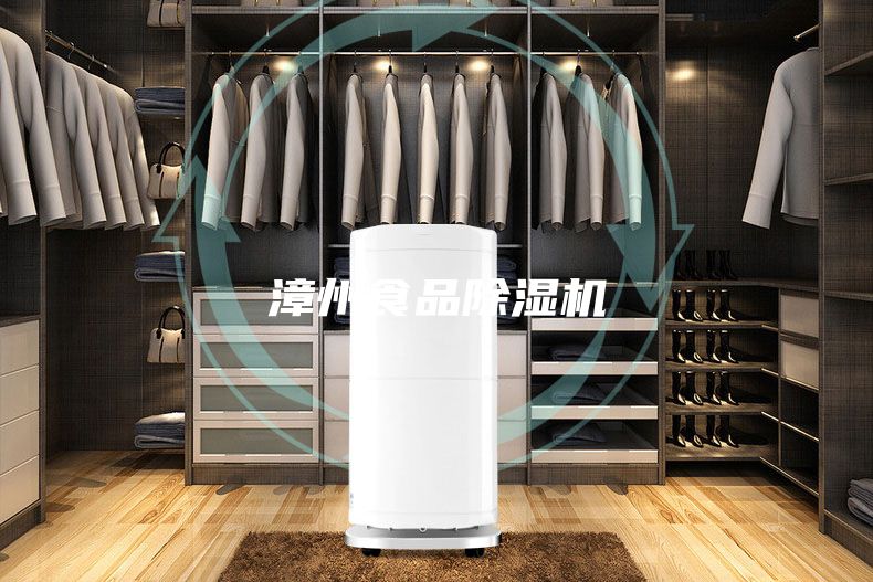 漳州食品除湿机