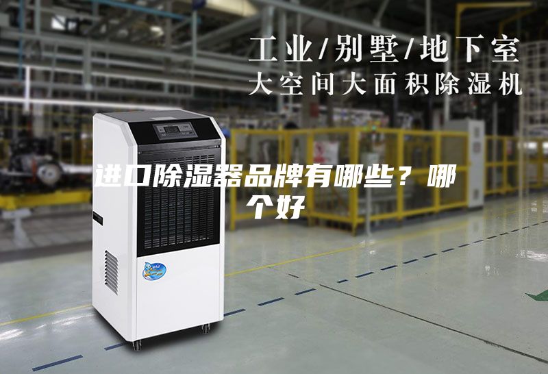 进口除湿器品牌有哪些？哪个好