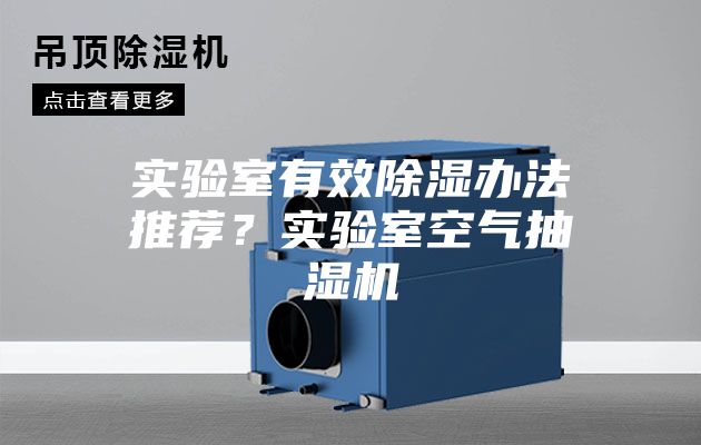实验室有效除湿办法推荐？实验室空气抽湿机