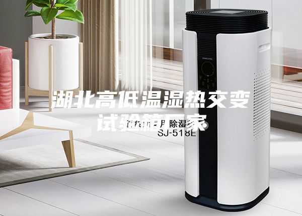 湖北高低温湿热交变试验箱厂家