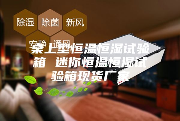 桌上型恒温恒湿试验箱 迷你恒温恒湿试验箱现货厂家